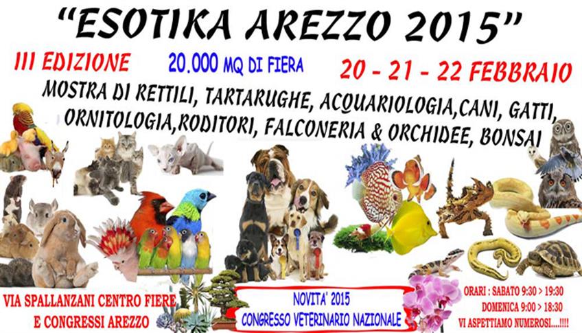 ESOTIKA AREZZO 2015 dal 20 al 22 Febbraio ESOTIKA AREZZO 2015 dal 20 al 22 Febbraio